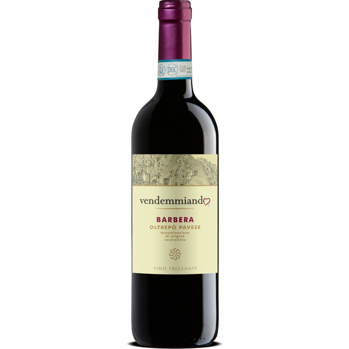 Vino rosso barbera DOC oltrepò pavese VENDEMMIANDO 750 ML Coop Shop