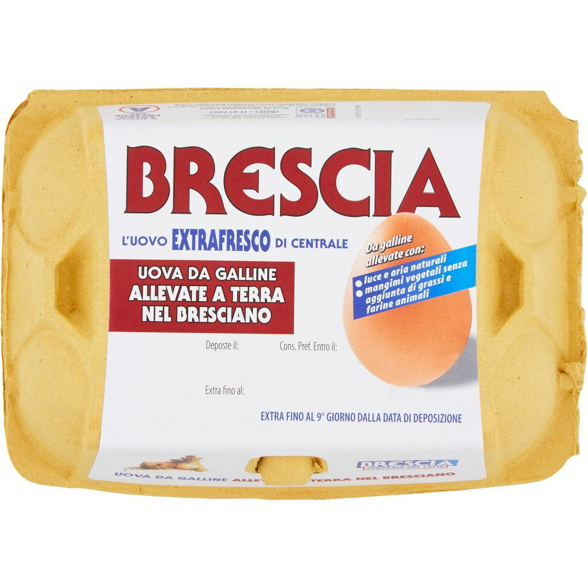 Uova fresche allevamento a terra x6 CENTRALE DEL LATTE DI BRESCIA 1 PZ -  Coop Shop