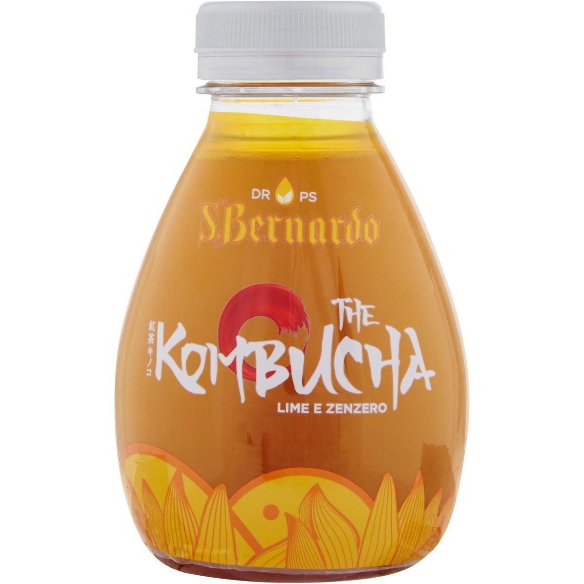 Kombucha fermentato bevanda sana con zenzero grezzo e limone in Bottiglie  di vetro. Tè pronto per bere Foto stock - Alamy